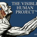 Logo du projet NLM Visible Human